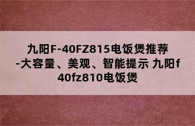 九阳F-40FZ815电饭煲推荐-大容量、美观、智能提示 九阳f40fz810电饭煲